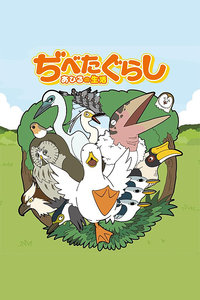鸭子的生活