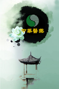 лҽҩ2013