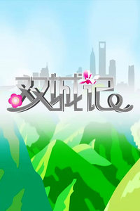 ˫Ǽ2013