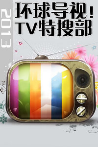 ӣTVѲ2013