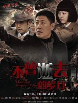 不曾逝去的岁月2014