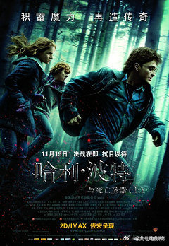 哈利·波特7:死亡圣器(上)2010