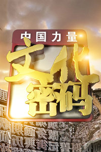 文化密码 20122012
