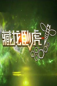 藏龙卧虎 2015