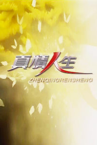 真情人生 2012