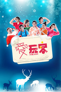  2013