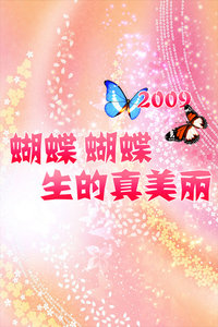 蝴蝶蝴蝶生的真美丽 2009