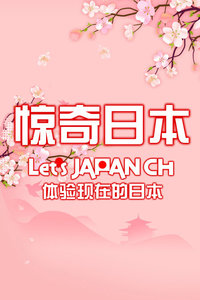 惊奇日本 20112011