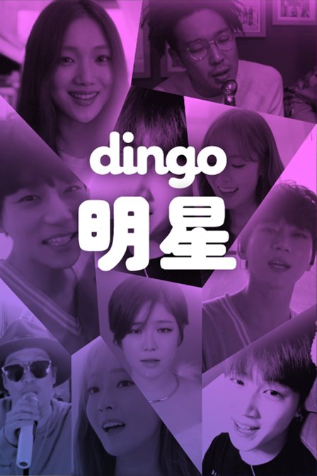 dingo 