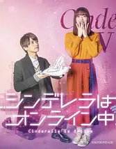 微微一笑很倾城日版