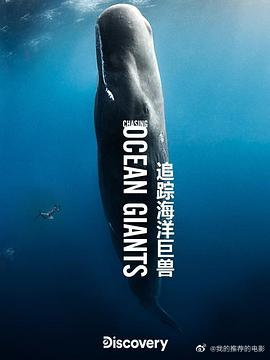 追踪海洋巨兽