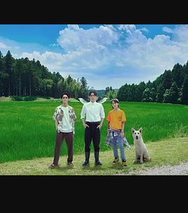 칷ĳ
